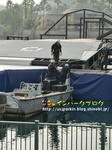 CIMG3485-2.jpg