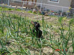 DSC03752.jpg