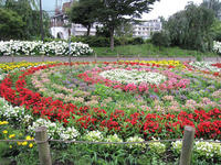 蘆花公園花の丘