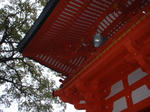 DSCF0262.JPG