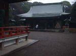 DSCF0271.JPG