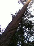 TS390114.JPG