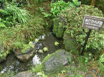 sP6190302.jpg