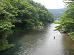 sP6190323.jpg