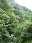 sP6190341.jpg
