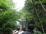 sP6190355.jpg