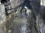 sP6190369.jpg