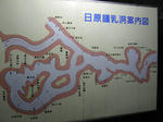 sP6190380.jpg