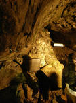 sP6190387.jpg