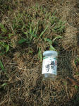 DSCF0490.JPG