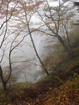 DSC00346.JPG