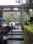 DSC00354.JPG
