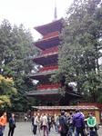 DSC00364.JPG