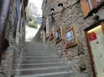 DSC00478.JPG