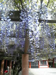 110427_143605.jpg