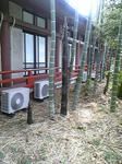 110427_144635.jpg
