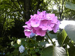 110629_112612.jpg