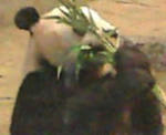 20110825133305.jpg