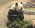 20110825133408.jpg