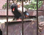 20110825135149.jpg