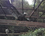 20110825135301.jpg