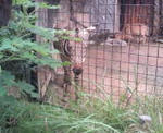 20110825150056.jpg