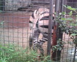 20110825150107.jpg