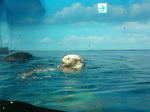 SN3R0316.JPG