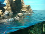 SN3R0317.JPG