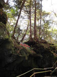 DSC01088.JPG