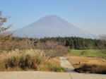 DSC01099.JPG