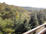DSC01096.JPG