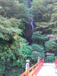 DSC01130b.JPG