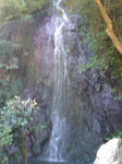 DSC01130d.JPG