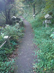 DSC01135c.JPG