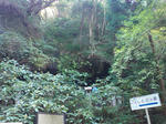 DSC01135g.JPG