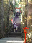DSC01155.JPG