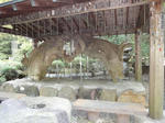 DSC01161.JPG