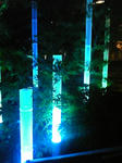 111124_191926.jpg