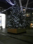 111124_192123.jpg