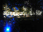111124_195047.jpg