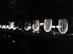 111124_195104.jpg