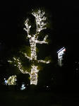 111124_195619.jpg