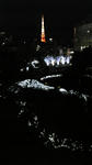 111124_205108.jpg