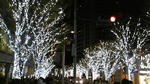 111124_210554.jpg