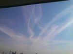 mini_120119_1103.JPG