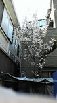 120320_135217.jpg