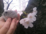 mini_120410_1536.JPG