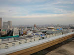 DSC01495.JPG