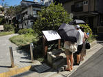 DSC01536.JPG